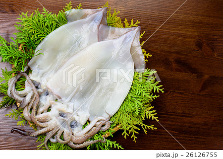 いか開き 26126755