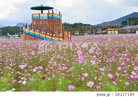 おおとう花公園 おおとう花公園 26127184
