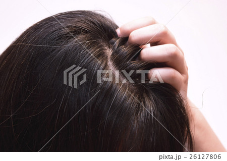 40代女性の髪の毛 40代女性の髪の毛 26127806