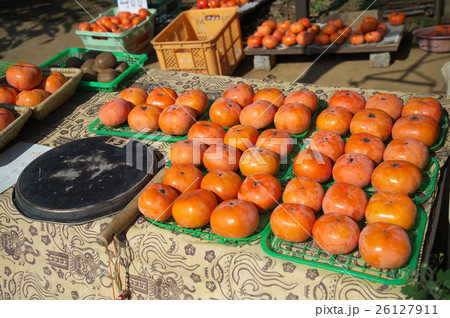 柿の産地直売 柿の産地直売 26127911