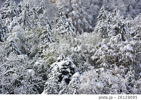 雪の山 雪の山 26129095