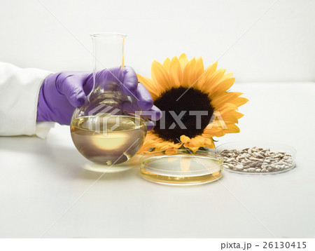 Analysis of sunflower oil in laboratory 26130415