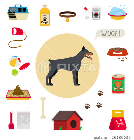 dog's stuff