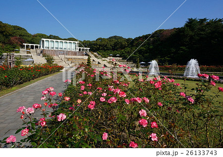 兵庫県神戸市須磨区の丘陵に広がる都市公園「須磨離宮公園」 兵庫県神戸市須磨区の丘陵に広がる都市公園「須磨離宮公園」 26133743