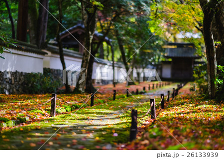 西芳寺 苔寺 京都 26133939