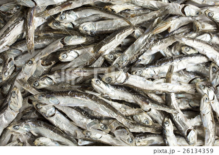 煮干し 煮干し 26134359