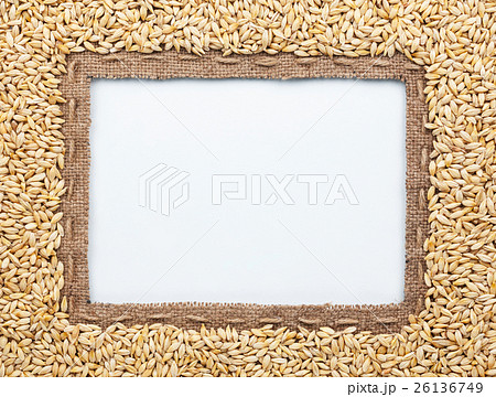 Frame of burlap and barley in beans Frame of burlap and barley in beans 26136749