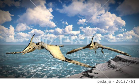 Flying pterodactyl over the land 3d illustration Flying pterodactyl over the land 3d illustration 26137761