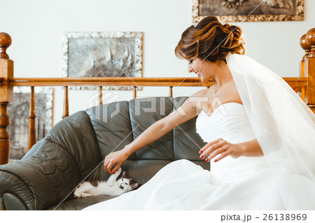 Bride playing with cute cat Bride playing with cute cat 26138969