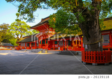 宇佐神社 宇佐神社 26139118