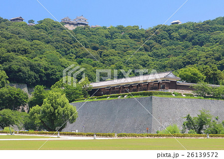 万緑の城山公園から見た松山城 26139572