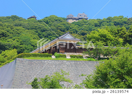 万緑の城山公園から見た松山城 26139574