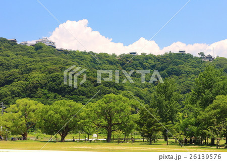 万緑の城山公園から見た松山城 26139576