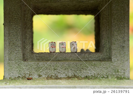 豪徳寺の石灯籠の中の招き猫 26139791