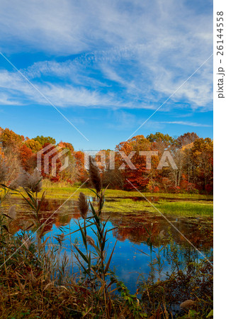 The bright colors of autumn in the park  the lake. 26144558