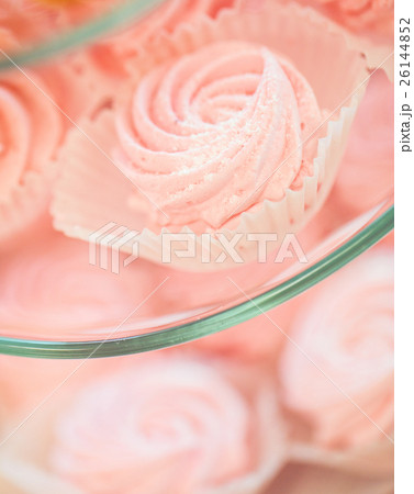 close up of sweet custard dessert on serving tray 26144852