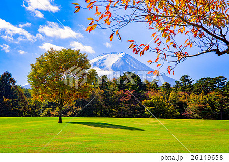 富士山,富士パインズパーク,紅葉 26149658