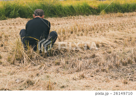 farming 26149710