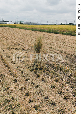 farming farming 26149713