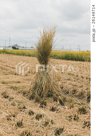 farming 26149714