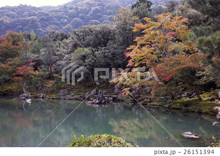 京都　天龍寺の曹源池庭園 26151394