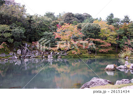 京都　天龍寺の曹源池庭園 26151434