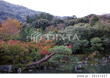 京都　天龍寺の曹源池庭園 26151437