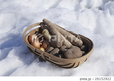 越冬野菜 26152922