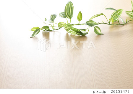 背景素材　板と葉っぱ 26155475