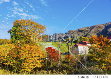 紅葉する丸沼高原スキー場の写真素材