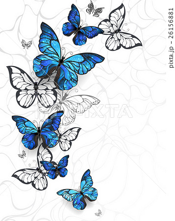 美しい花の画像 新鮮なイラスト 蝶 青