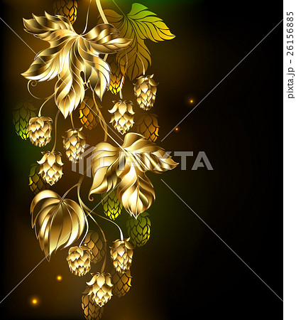 Golden hops 26156885