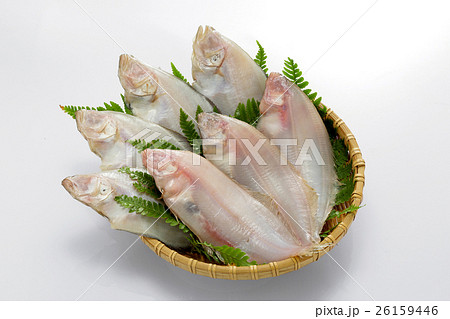 かれい一夜干しざる盛り 26159446