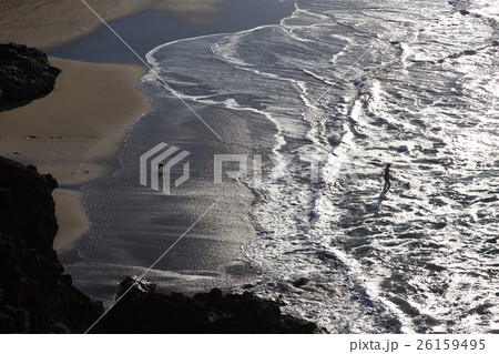 Silhouette of man and dog having fun on seaside. Silhouette of man and dog having fun on seaside. 26159495