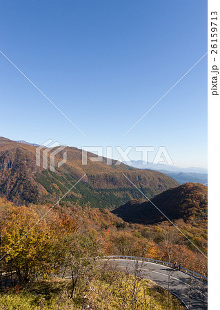 紅葉のいろは坂 紅葉のいろは坂 26159713
