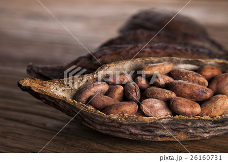 Cacao beans and powder and food dessert background Cacao beans and powder and food dessert background 26160731