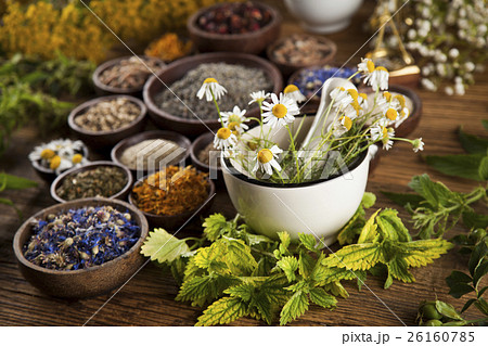 Alternative medicine, dried herbs and mortar  26160785