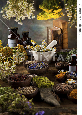 Herbs, berries and flowers with mortar, on wooden 26160817