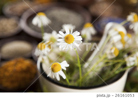 Alternative medicine, dried herbs and mortar  26161053