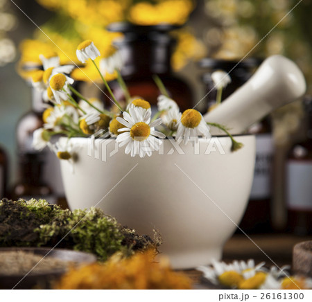 Assorted natural medical herbs and mortar 26161300