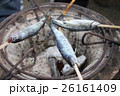 ヤマメの塩焼き　 26161409