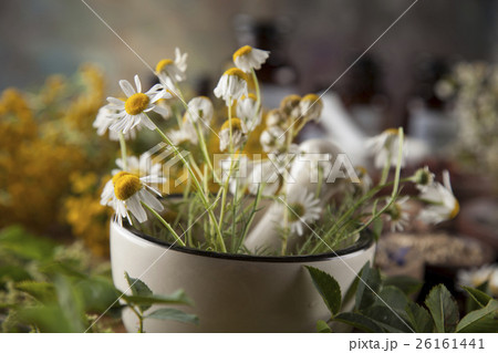 Alternative medicine, dried herbs and mortar  26161441