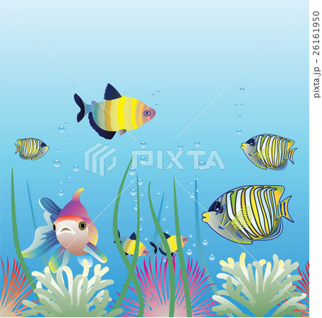 Vector Aquarium And Fishes のイラスト素材 [26161950] - Pixta