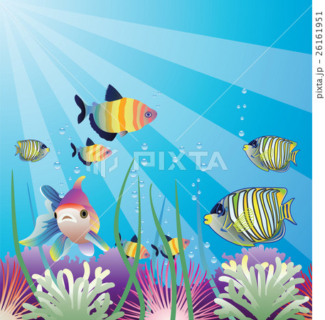 underwater vector of tropical fishes underwater vector of tropical fishes 26161951