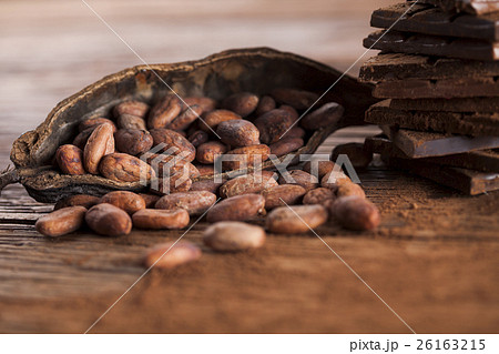 Cocoa pod and cocoa beans on the wooden table Cocoa pod and cocoa beans on the wooden table 26163215