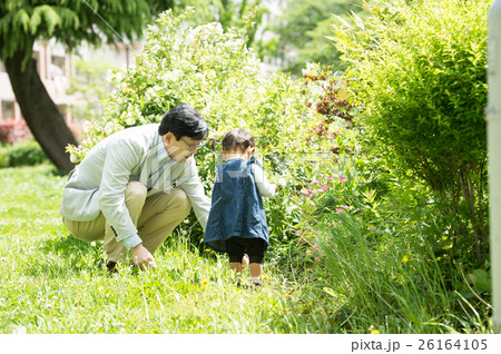 孫と遊ぶおじいちゃん 26164105