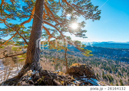 Fantastic winter landscape Fantastic winter landscape 26164132