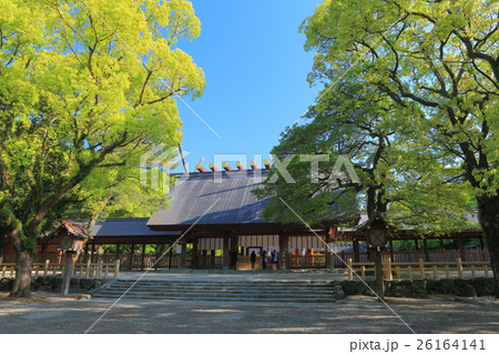 万緑の熱田神宮本宮 26164141