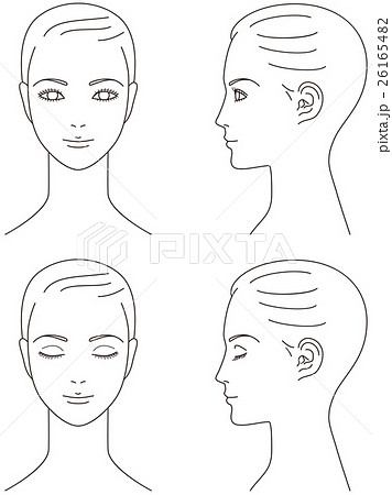 女性の顔 正面と横顔のイラスト素材 26165482 Pixta