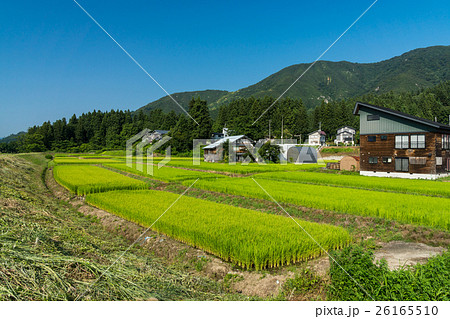 田舎の田園風景　新潟県　魚沼市 26165510